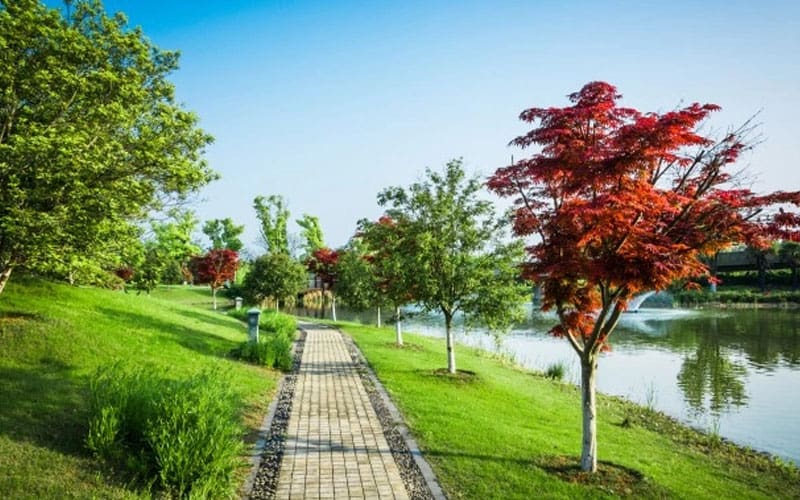 Surga Nabi Adam, Apakah Berada di Langit atau di Bumi? 2 Penghalang Masuk Surga, Surah Al-Kahfi, Letak Surga Nabi Adam