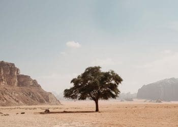 Al-Qamah, Negeri Syam