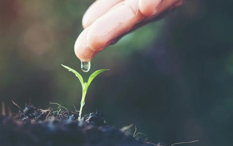 4 Tanda Baligh Seseorang 1 Tanda Baligh Seseorang, Kiat Mengobati Penyakit, Perbuatan Baik, Kebaikan untuk Bekal Kematian