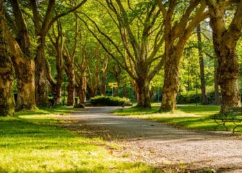 Penghalang Masuk Surga