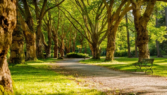 Bebas Masuk Pintu Surga Manapun, Ini 4 Kunci Amalannya 1 Penghalang Masuk Surga