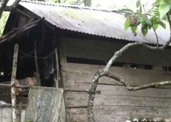Foto: Detik