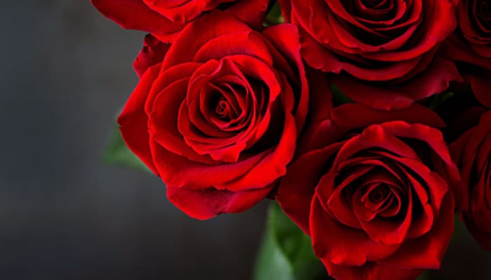 Siapakah Maryam, Wanita yang Namanya Tertera dalam Al-Quran? 1 Haid, Cara Pilih Pembalut yang Aman