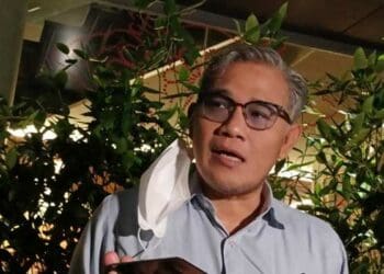 Politisi PDIP Budiman Sudjatmiko (Karin/detikcom)