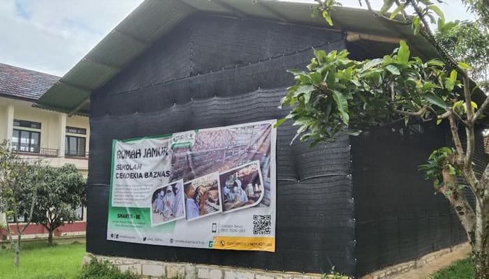 Sekolah Cendekia BAZNAS Panen 9 Kwintal Jamur dalam 1 kali Siklus Tanam 3 Baznas