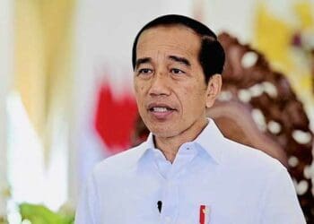 jokowi, pupuk