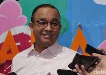 Anies Baswedan, Anies