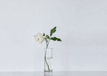 Syuraih, Harga Diri Wanita, Hak Perempuan dalam Islam, istri nabi, Ciri Wanita Penghuni Surga, Wanita Sempurna