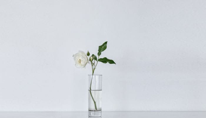 Istri-istri Nabi sallallahu alaihi wa sallam 2 Syuraih, Harga Diri Wanita, Hak Perempuan dalam Islam, istri nabi