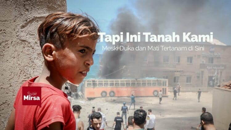 Pelajaran dari Gaza, Dunia, palestina, batu, Israel