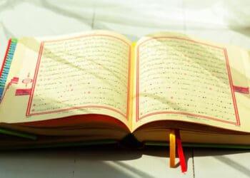 Imam Syafi’i, Syurokaa, Rasulullah