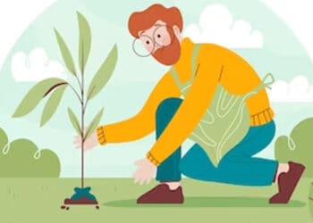 Pahala Menanam Pohon