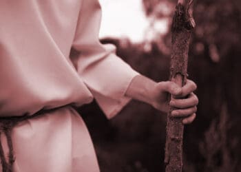 Nabi Adam, Nabi Isa, Nabi Yusuf, Ujian, Nabi Musa