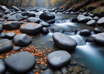 Nabi Musa, Nabi Daud