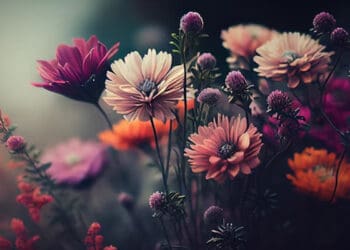 Fatimah, Keutamaan Asiyah