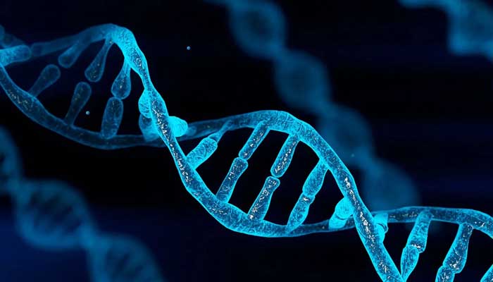 Rumitnya Penciptaan DNA Membuktikan Agungnya Kekuasaan Allah SWT 1 dna