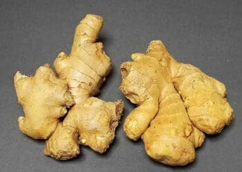jahe, REMPAH, SUAMI