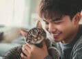 Tanda Kucing Sayang sama Kamu, Kucing