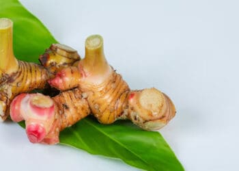 Manfaat Rimpang