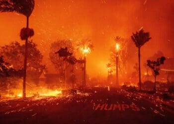 Los Angeles