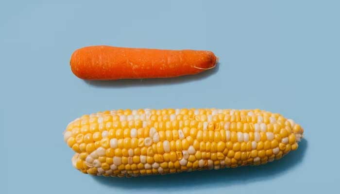 5 Sayuran Tinggi Gula dan Cara Seimbang dalam Mengonsumsinya 1 sayuran