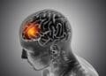 otak, brain rot, cerdas, IQ